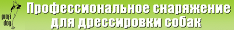 Профессиональное снаряжение для дрессировки собак. Профессиональное снаряжение для дрессировки собак.